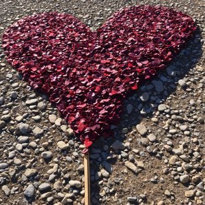 每一秒都充满希望