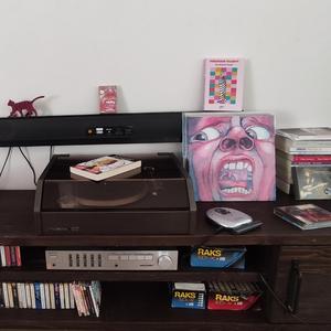 Asma Yaprağı ve Gabriel Garcia Márquez