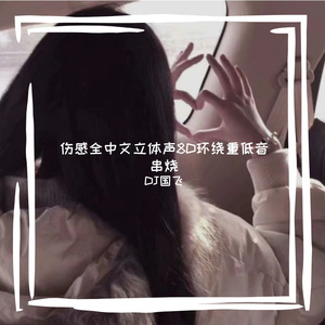 伤感全中文立体声8D环绕重低音串烧