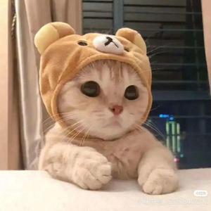 春夏秋冬(吉他）（翻自 张国荣）