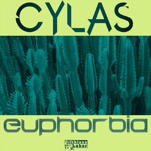 Euphorbia
