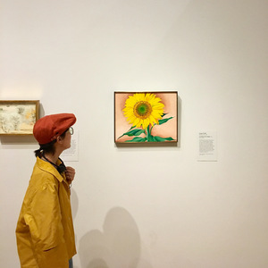 深夜的无聊之作