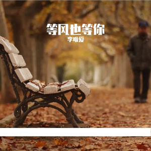等风也等你 伴奏