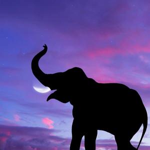 乱[Prod by.heifadirr]