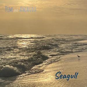 Seagull