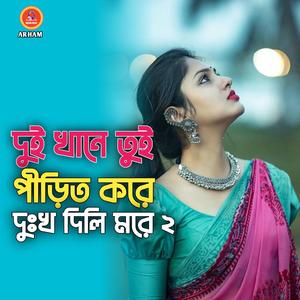 দুই খানে তুই পীড়িত করে দুঃখ দিলি মরে ২