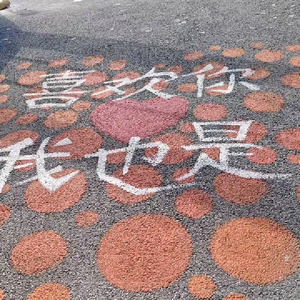 SmallTownLove（小城爱）