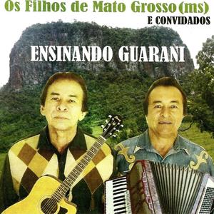 Ensinando Guarany