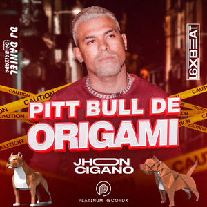 Pitt Bull de Origami