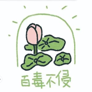 想你时风起（Cover：单依纯）