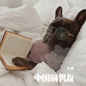 爱丫爱丫（片段）_左阳