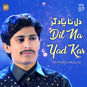 Mhunje Sajjar Je Shahr
