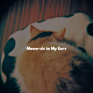 Chilled (Solo Holidays)