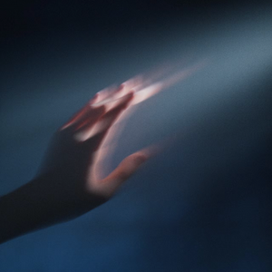 我们在世上是为了感受阳光