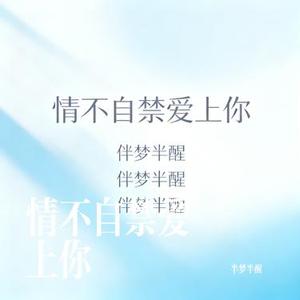 情不自禁爱上你