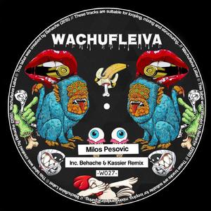 Wachufleiva 27-4 (Original Mix)
