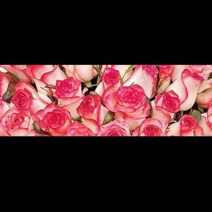 Makarios (μακάριος)