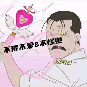 群星-不得不爱（Lkeda remix）