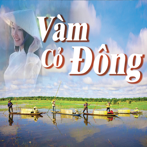 Tiếng Hát Bên Rừng Cọ Đồi Chè