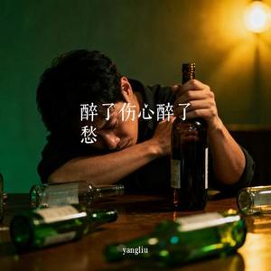 醉了伤心醉了愁