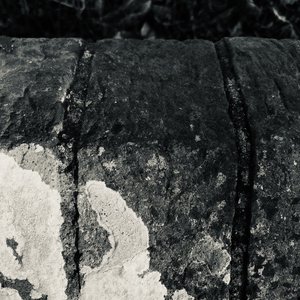 03.11.21