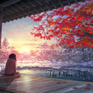 The Other Side