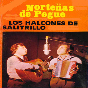 Linda Flor de Amapolita