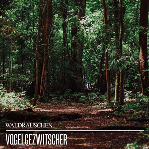 Magische Waldstimmen