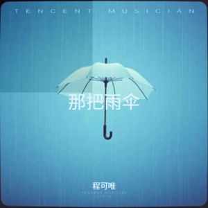 那把雨伞
