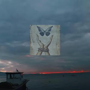 Kelebek Mezarlığı