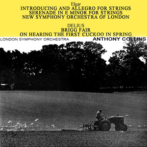 Serenade in E Minor for Strings, Op. 20