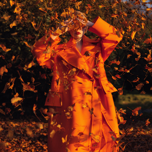 Маргаритка