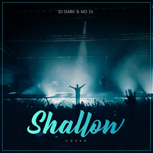 Shallow (Cover)