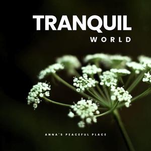 Prohlédnutí a pochopení