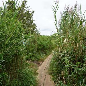 Habitat