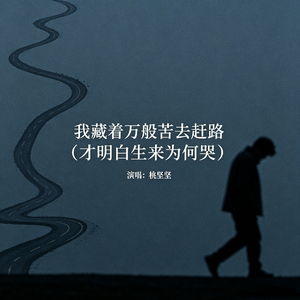 我藏着万般苦去赶路（才明白生来为何哭）