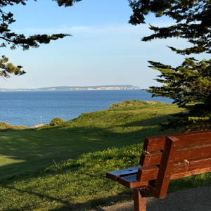 流星花园 (美容院养生必听轻音乐)