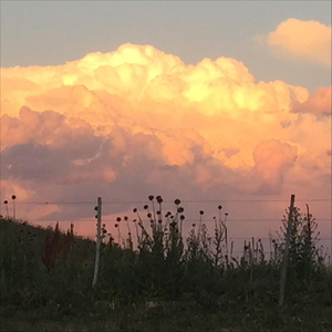 Serenading Thunder