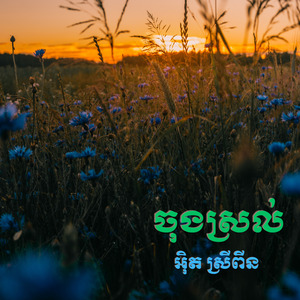 ចុងស្រល់