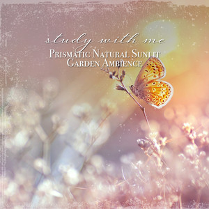 Prismatic Natural Sunlit Garden Ambience, Pt. 12