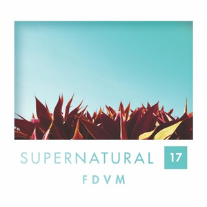 S u p e r n a t u r a l . 17 // FDVM