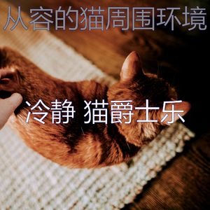 抚慰的小猫回忆