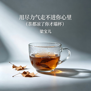 用尽力气走不进你心里（茶都凉了你才端杯）