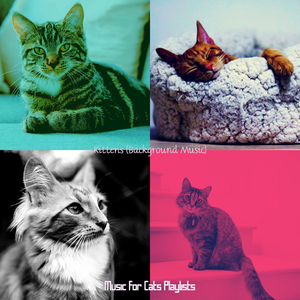 Chilled (Sleeping Cats)