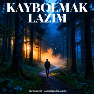 Kaybolmak Lazım