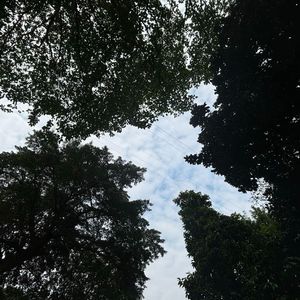 猫与旧时光