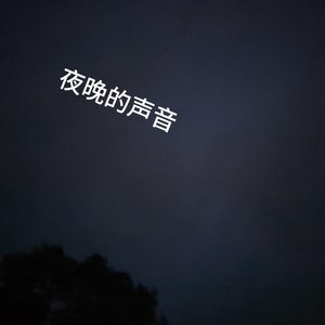 夜晚的声音