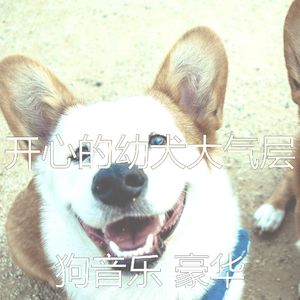 微妙的睡狗心情