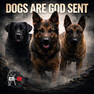 Dogs Are God Sent