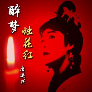 醉梦烛花红（demo）